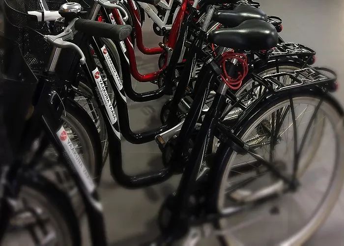 فندق Original Sokos Vaakuna 4*